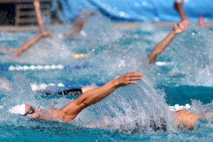 Aquilina Domenic Watershow 